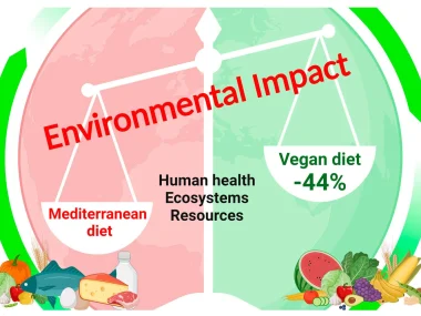 sustainability through veganism