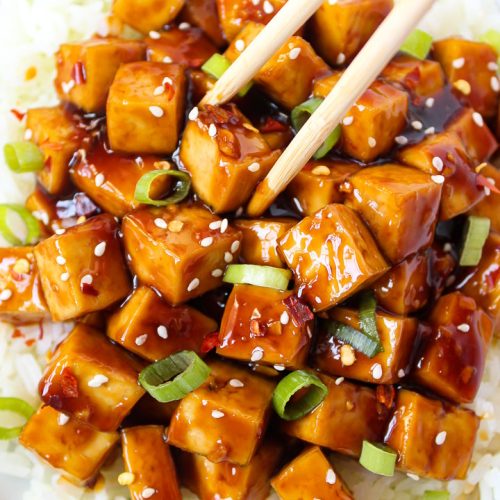 Homemade Vegan Teriyaki Tofu Recipe